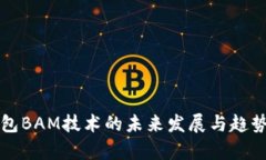 冷钱包BAM技术的未来发展