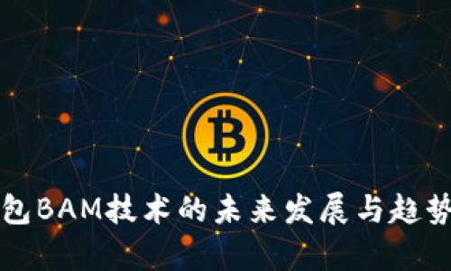 冷钱包BAM技术的未来发展与趋势分析