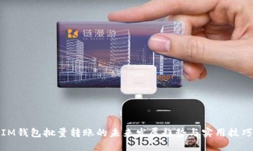 IM钱包批量转账的未来发展趋势与实用技巧