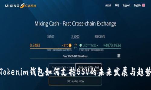 Tokenim钱包如何支持BSV的未来发展与趋势