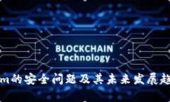 Tokenim的安全问题及其未来