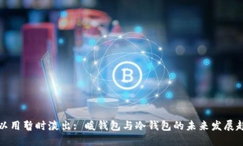 可以用暂时淡出: 暖钱包与冷钱包的未来发展趋势