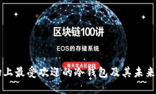 印度市场上最受欢迎的冷钱包及其未来发展趋势