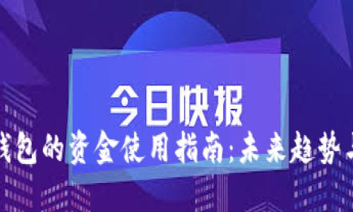 数字钱包的资金使用指南：未来趋势与实践