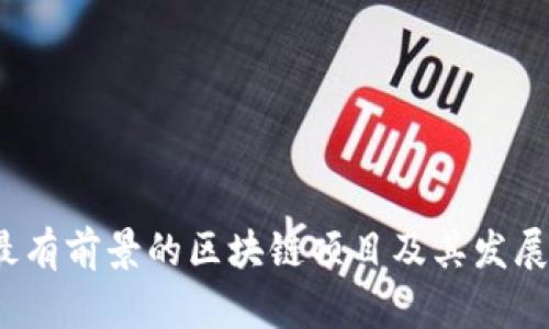 2024年最有前景的区块链项目及其发展趋势分析
