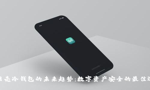 小贝壳冷钱包的未来趋势：数字资产安全的最佳选择