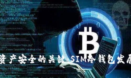 未来数字资产安全的关键：SIM冷钱包发展趋势分析