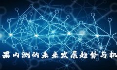 国内苹果内测的未来发展