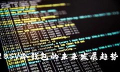 管理BSV冷钱包的未来发展