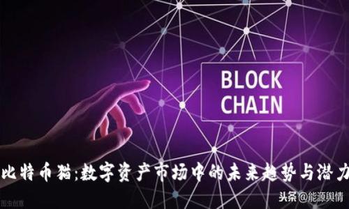 比特币猫：数字资产市场中的未来趋势与潜力