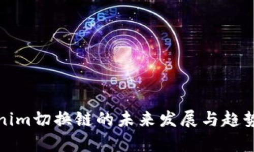 Tokenim切换链的未来发展与趋势解析