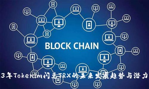 2023年Tokenim闪兑TRX的未来发展趋势与潜力分析