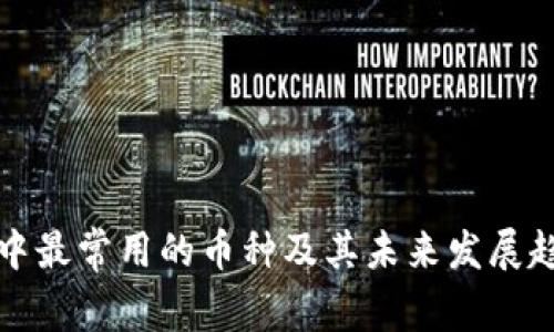 冷钱包中最常用的币种及其未来发展趋势分析
