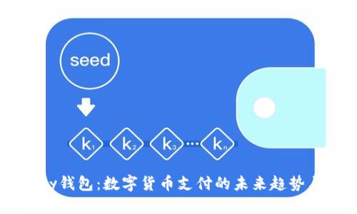 C币Pay钱包：数字货币支付的未来趋势与发展