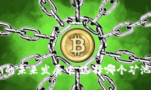 在Tokenim的未来发展中，选择哪个矿池最为重要？