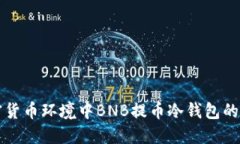未来加密货币环境中BNB提