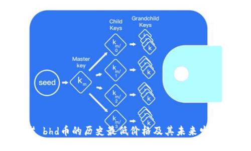 ### bhd币的历史最低价格及其未来发展趋势