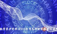 未来数字资产管理：DSIM冷