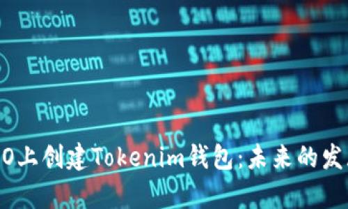 如何在HECO上创建Tokenim钱包：未来的发展趋势解析