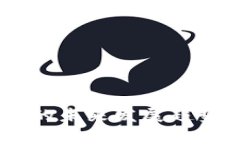 Bitbull交易平台的未来发展