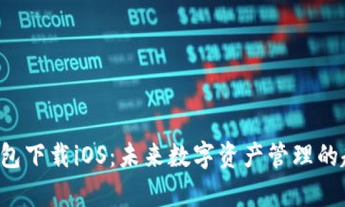 Bitkeep钱包下载iOS：未来数字资产管理的趋势与发展