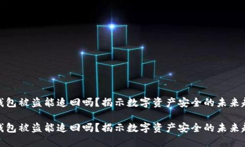 冷钱包被盗能追回吗？揭示数字资产安全的未来趋势

冷钱包被盗能追回吗？揭示数字资产安全的未来趋势