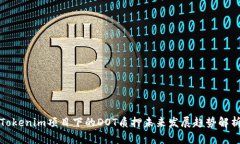 Tokenim项目下的DOT质押未来