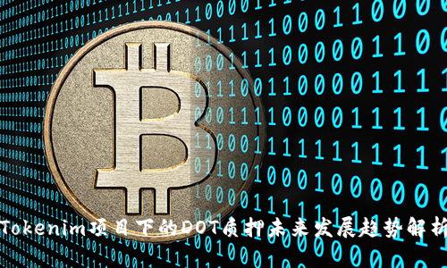 Tokenim项目下的DOT质押未来发展趋势解析