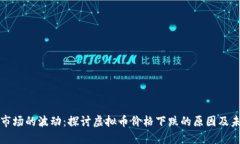 虚拟币市场的波动：探讨