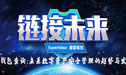 冷钱包查询：未来数字资产安全管理的趋势与发展