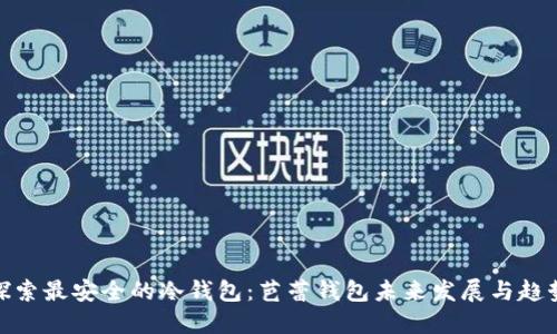 探索最安全的冷钱包：芭蕾钱包未来发展与趋势