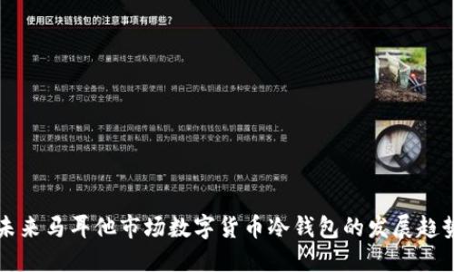 未来马耳他市场数字货币冷钱包的发展趋势