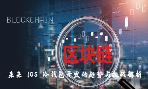 未来 iOS 冷钱包开发的趋势与挑战解析