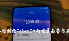 2024年链财经TokenIM的发展趋