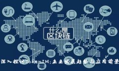 深入探讨TokenIM：未来发展