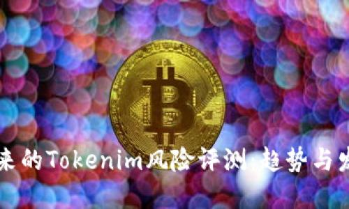 未来的Tokenim风险评测：趋势与发展