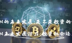 TokenIM的未来发展：是不是