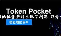 关于Tokenim不显示BCH旧地址