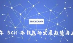 未来五年 BCH 冷钱包的发展