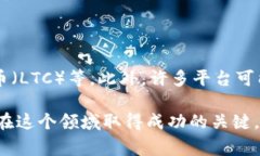 关于“tokenim付款”的具体信息，有可能与特定的