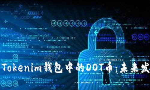 如何安全取回Tokenim钱包中的DOT币：未来发展与趋势分析