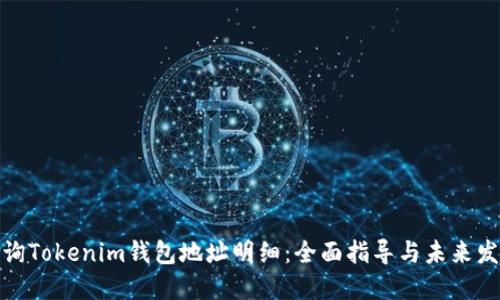 如何查询Tokenim钱包地址明细：全面指导与未来发展趋势