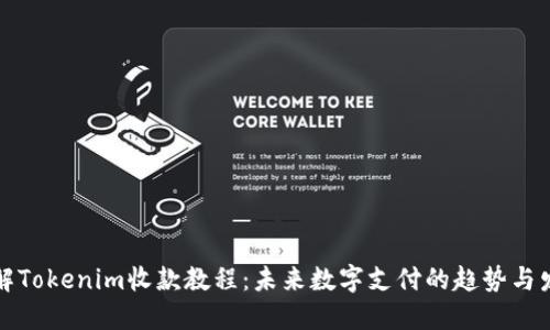 详解Tokenim收款教程：未来数字支付的趋势与发展