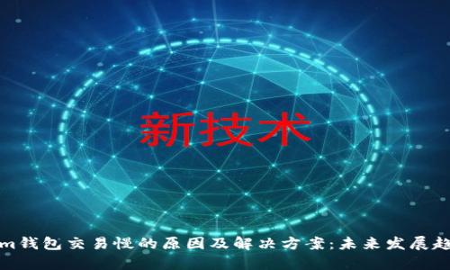 Tokenim钱包交易慢的原因及解决方案：未来发展趋势分析
