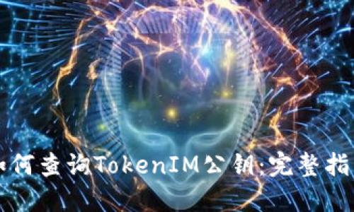 如何查询TokenIM公钥：完整指南