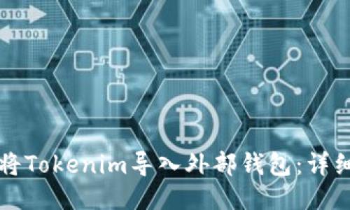 如何将Tokenim导入外部钱包：详细指南