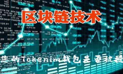 如何检查您的Tokenim钱包是否被授权给他人