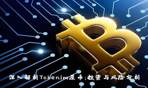 深入解析Tokenim屎币：投资与风险分析
