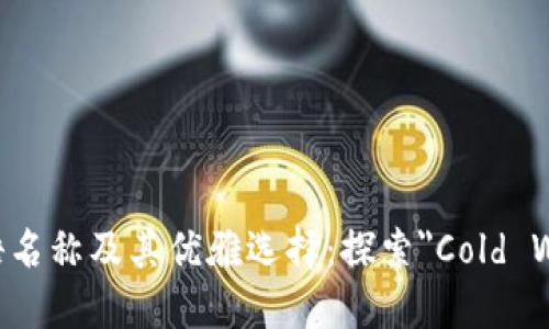 冷钱包的英语名称及其优雅选择：探索