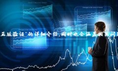 注意：本次生成内容会为